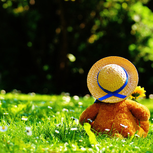 宁德随车吊厂家用小鸡营销导航
